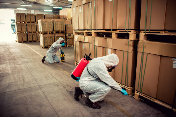 Best Flea Control Services  in Woodbury, MN
