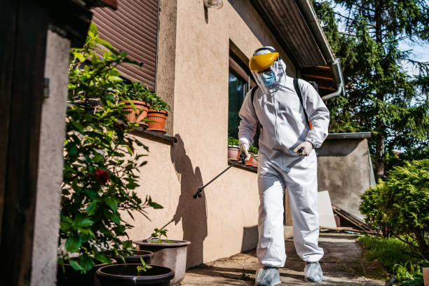 Best Affordable Pest Control Services  in Woodbury, MN
