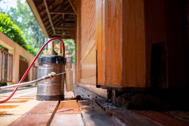 Best Ant Control Services  in Woodbury, MN