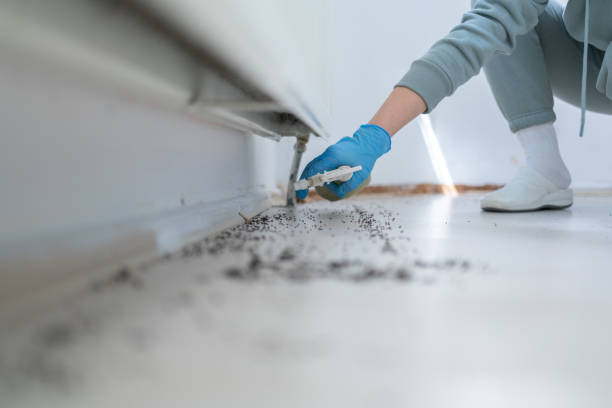 Best Best Pest Control Companies  in Woodbury, MN